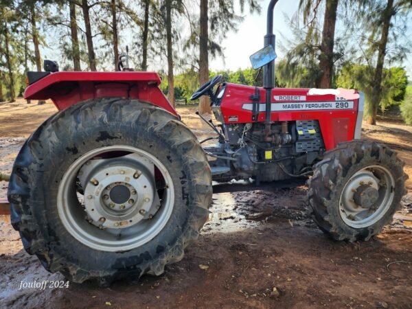 2018 MASSEY FERGOSON 290 (4x4) TRACTOR - Image 2